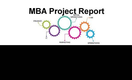 MBA Project Reports