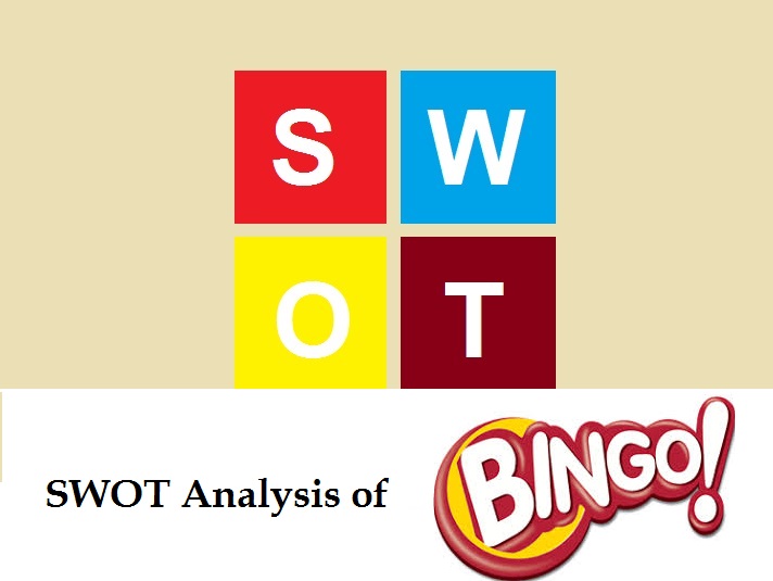 swot analysis of bingo